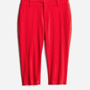 Market & Spruce Capri Pants
